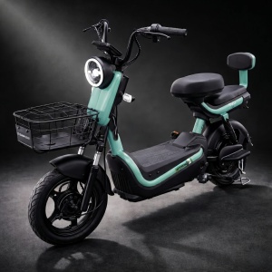 Scuter Electric KG, Saige, Fara Permis, Motor 500W, Baterie 48V20Ah, Autonomie 60km, 153x40x85 cm, Viteza Maxima 25km/h, Verde