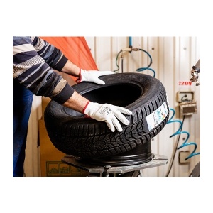 MANUSI PIELE CIPRUS B DCT BLS- 8B - Img 2