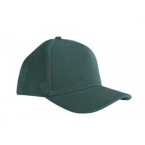 SAPCA VERDE PADURE