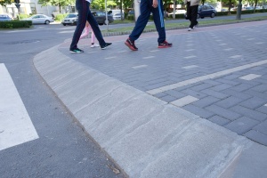Bordura pentru Ramba Elis - Img 4