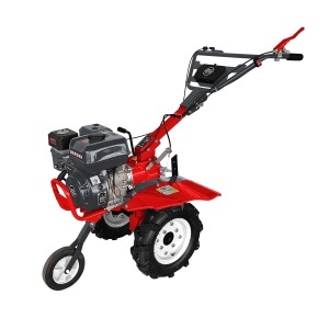 Motocultor TechnoWorker EM-900 + freza (VOR83216)