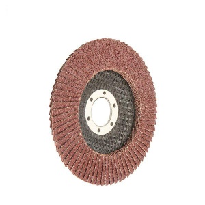 Disc cu lamele abrazive WOKIN P40 125 × 22,2 mm