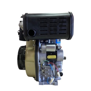 Motor motorina 9CP Technoworker (Cu starter) - Img 4