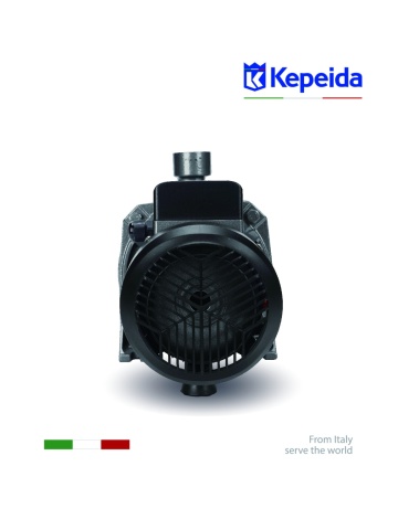 Pompa Suprafata KEPEIDA CPM-158K 750W 110L/min Cupru 100% - Img 4