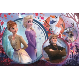 Puzzle Trefl 160 Universul Frozen2 - Img 2