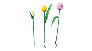 Lego Botanicals Buchet De Lalele 11501 - Img 6