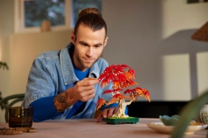 Lego Botanicals Bonsai De Artar Japonez Rosu 10348 - Img 4