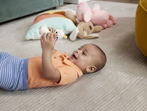 Fisher Price Jucarie Zornaitoare Gasca - Img 3