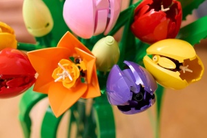 Lego Botanicals Buchet De Lalele 11501 - Img 7