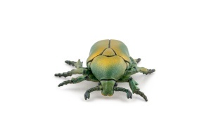 Papo Figurina Carabus - Img 7