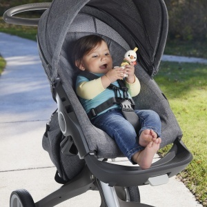 Fisher Price Jucarie Zornaitoare Gasca - Img 4