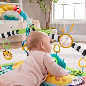 Fisher Price Salteluta 3 In 1 - Img 6