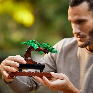 Lego Bonsai 10281 - Img 3