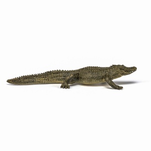 Papo Figurina Aligator - Img 2