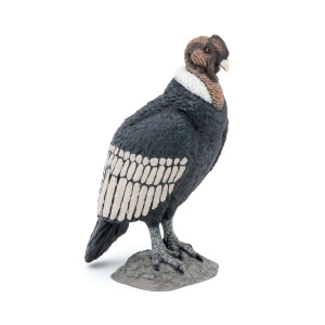 Papo Figurina Condor - Img 7