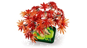Lego Botanicals Bonsai De Artar Japonez Rosu 10348 - Img 9