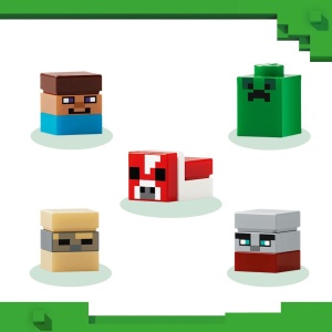 Lego Minecraft Minibiomuri 21589 - Img 6