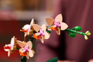 Lego Botanicals Mini Orhidee 10343 - Img 9
