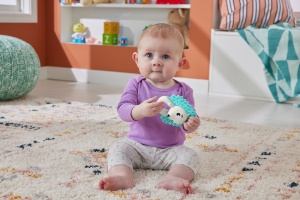 Fisher Price Jucarie Zornaitoare Arici - Img 4