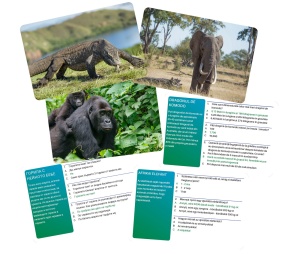 Joc Interactiv Lumea Animalelor In Limba Romana - Img 3