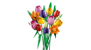 Lego Botanicals Buchet De Lalele 11501 - Img 2