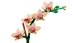 Lego Botanicals Mini Orhidee 10343 - Img 6
