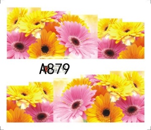 Tätowierung - A879