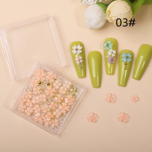 Nageldekoration NailsUp - Kaviar Und Blumen Salmon