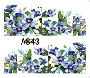 Tätowierung - A843