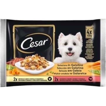 CESAR PLICURI CAINE VITA SI PUI 4X100 GR