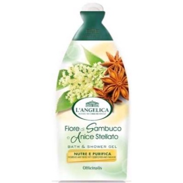 ANGELICA GEL DE DUS ALOE SI KARITE 450 ML