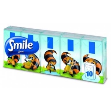 BATISTE ECONOMICE 3 STRATURI
