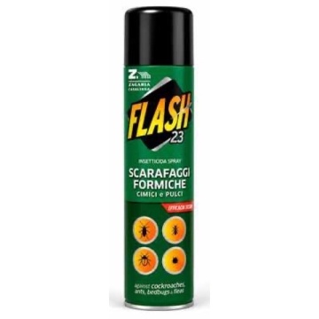 FLASH SPRAY GANDACI-FURNICI 250 ML