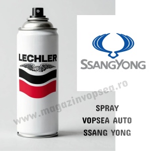 SPRAY VOPSEA AUTO SSANG YONG PREPARATĂ DUPĂ CODUL MAȘINII 400ML