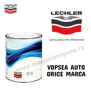 VOPSEA AUTO ORICE MARCĂ PREPARATĂ DUPĂ CODUL MAȘINII 100 ML