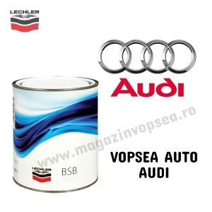 VOPSEA AUTO AUDI PREPARATĂ DUPĂ CODUL MAȘINII 100 ML
