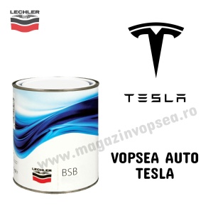 VOPSEA AUTO TESLA PREPARATĂ DUPĂ CODUL MAȘINII 100 ML