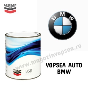 Vopsea auto BMW preparata dupa cod de culoare masina