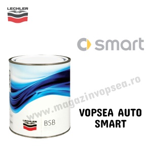 VOPSEA AUTO SMART PREPARATĂ DUPĂ CODUL MAȘINII 100 ML