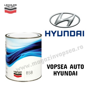 VOPSEA AUTO HYUNDAI PREPARATĂ DUPĂ CODUL MAȘINII 100 ML