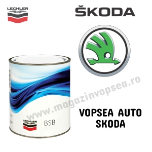 VOPSEA AUTO SKODA PREPARATĂ DUPĂ CODUL MAȘINII 100 ML
