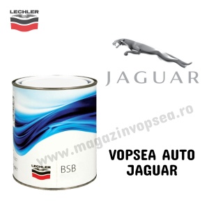 VOPSEA AUTO JAGUAR PREPARATĂ DUPĂ CODUL MAȘINII 100 ML