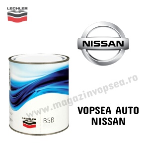 VOPSEA AUTO NISSAN PREPARATĂ DUPĂ CODUL MAȘINII 100 ML