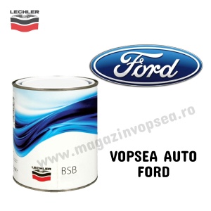 VOPSEA AUTO FORD PREPARATĂ DUPĂ CODUL MAȘINII 100 ML