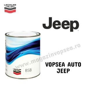 VOPSEA AUTO JEEP PREPARATĂ DUPĂ CODUL MAȘINII 100 ML