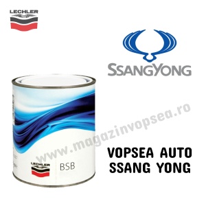 VOPSEA AUTO SSANG YONG PREPARATĂ DUPĂ CODUL MAȘINII 100 ML