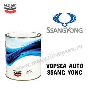VOPSEA AUTO SSANG YONG PREPARATĂ DUPĂ CODUL MAȘINII 100 ML