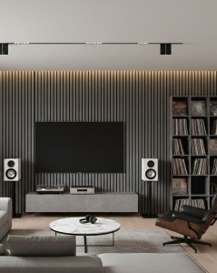 Riflaj MDF Decorativ Grey Wood 2.8m x 1m - Img 2