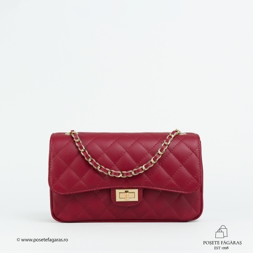 Poseta Piele Mini Ruby - VISINIU - Img 2