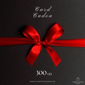Card Cadou Virtual 300